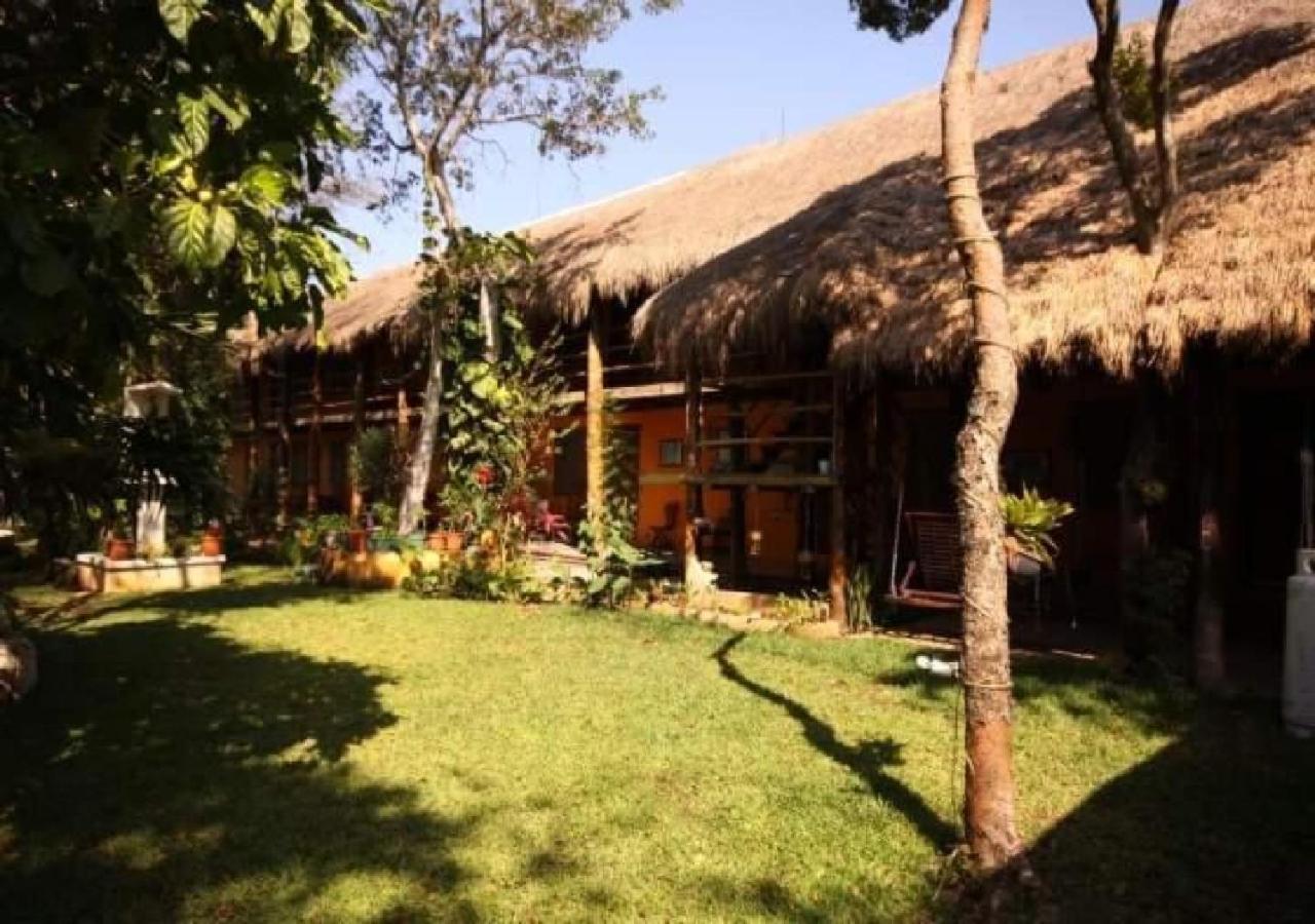 Esduma Iguanas Hotel Playa Del Carmen Ngoại thất bức ảnh