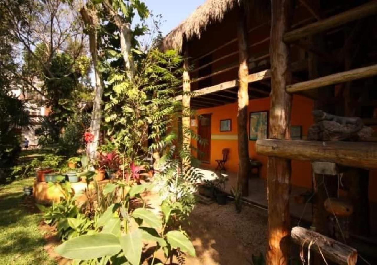 Esduma Iguanas Hotel Playa Del Carmen Ngoại thất bức ảnh